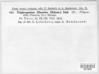 Image Associated With the Occurrence